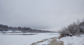 Torsdag 23 januari – Dagens väder