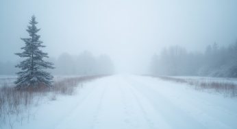 Onsdag 22 januari – Dagens väder